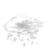 chute de neige légère